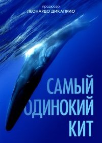  Самый одинокий кит на планете: в поисках Пятидесятидвухгерцового кита 