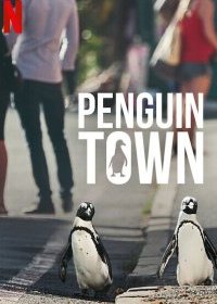  Город пингвинов 